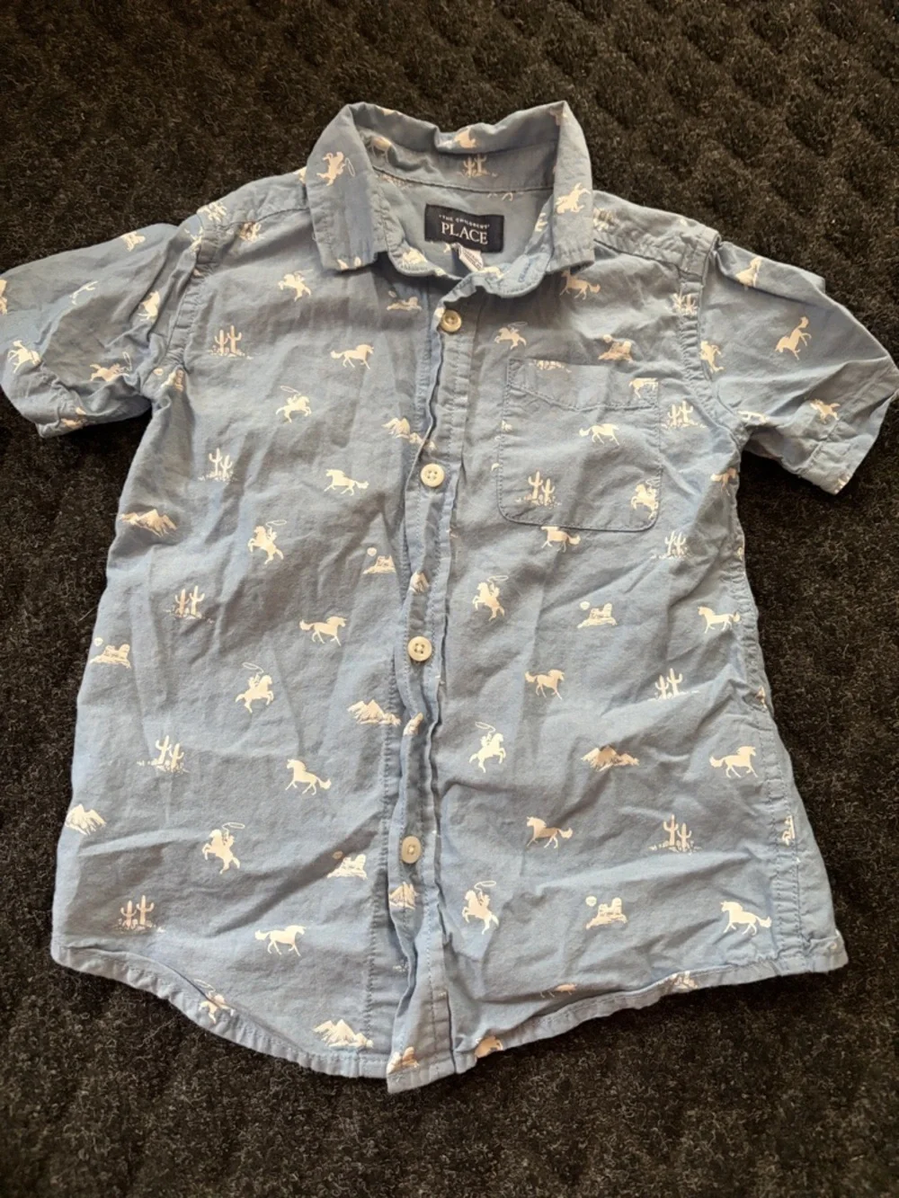 Boys Hawaiian Shirt And Shorts Lot The children’s place Tommy Bahama 4T